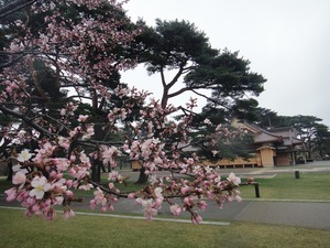 20110503-36.jpg