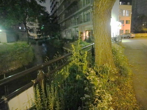 20110708-06.JPG