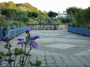 20111006-42.jpg