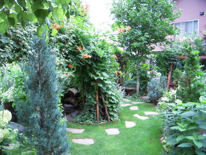 20100804-01.JPG