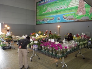 20110320-01.JPG