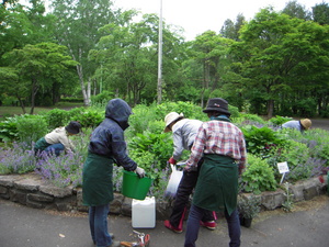 20120606-06.JPG